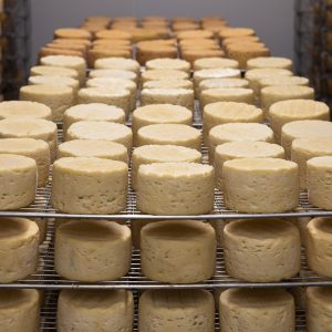 cheese, refining, milk, farm, cow, agriculture, cows, farmer, rural, manufacturing, craft, crust, food, cheese, cheese, cheese, cheese, cheese